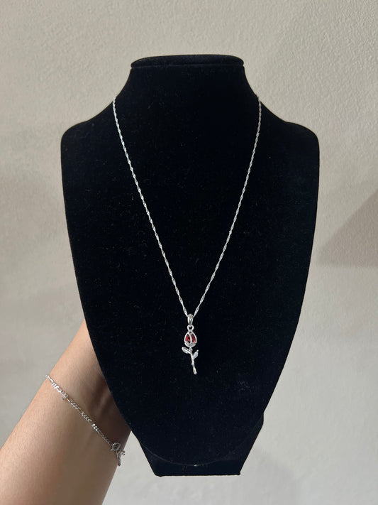 Combo tulipan plata plata italiana