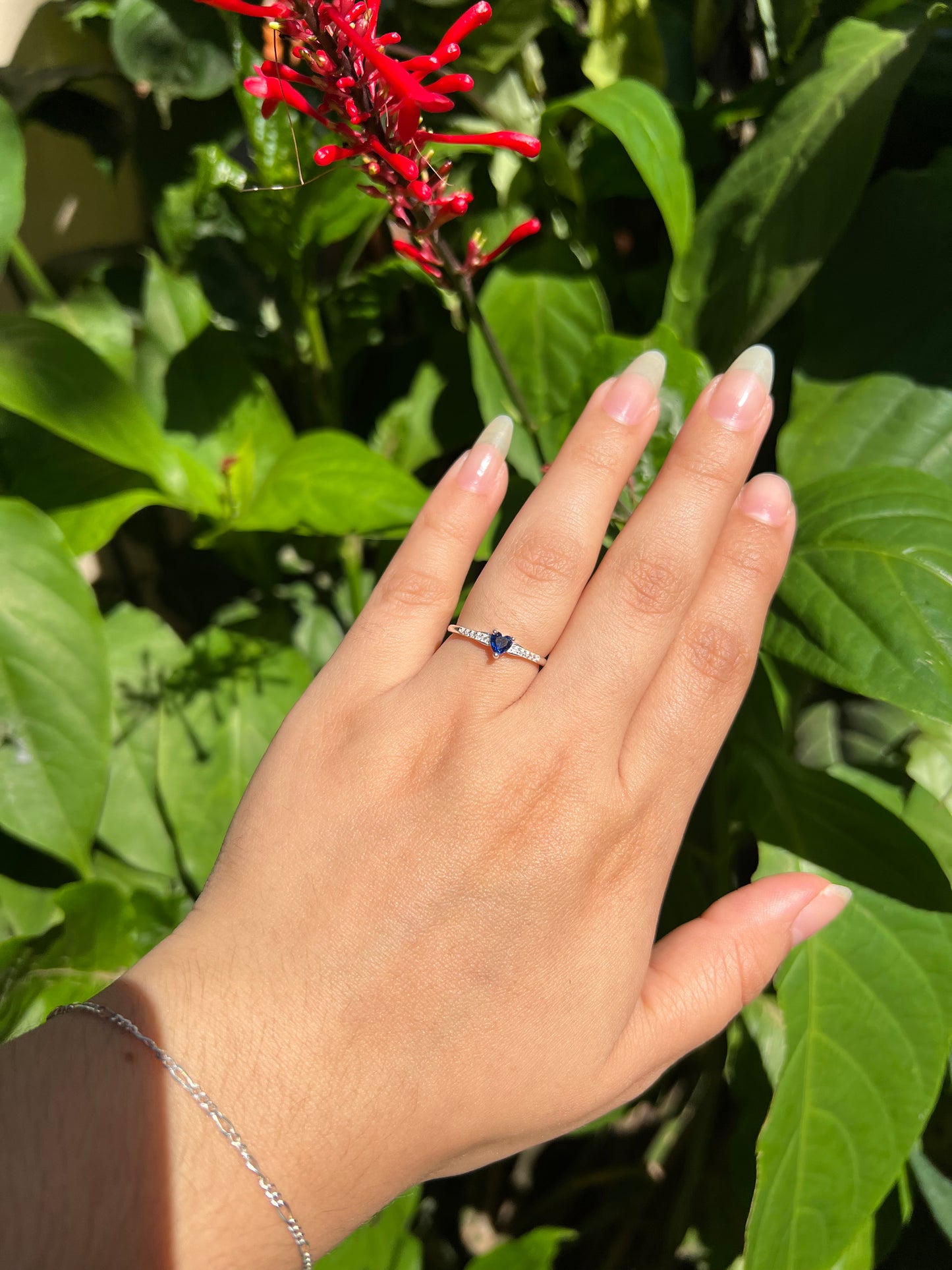 Anillos de promesa
