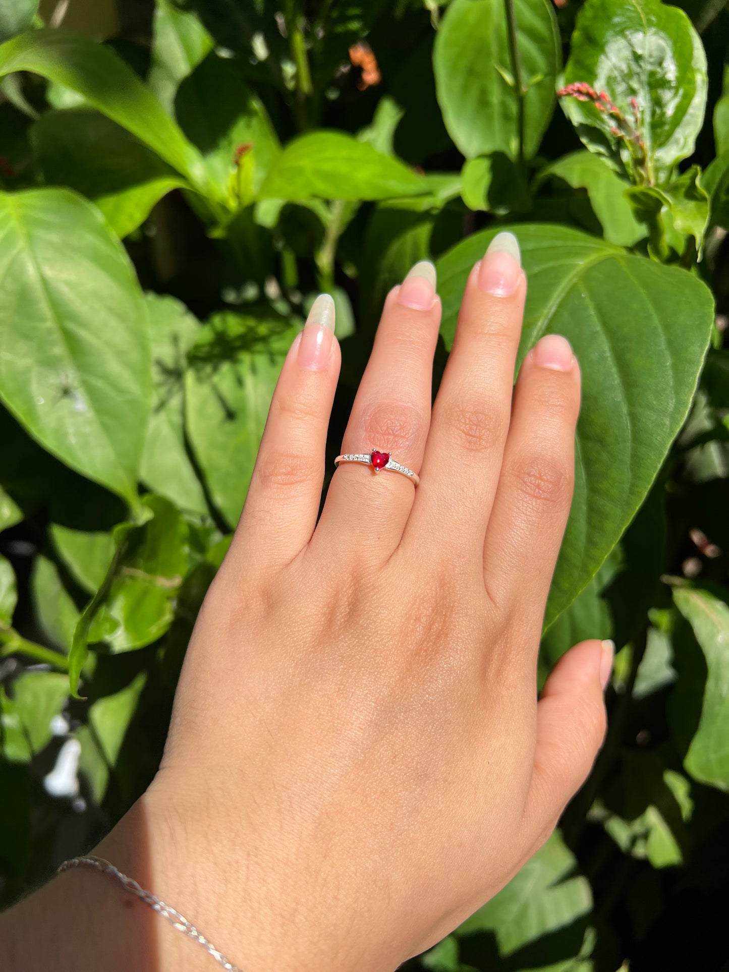 Anillos de promesa