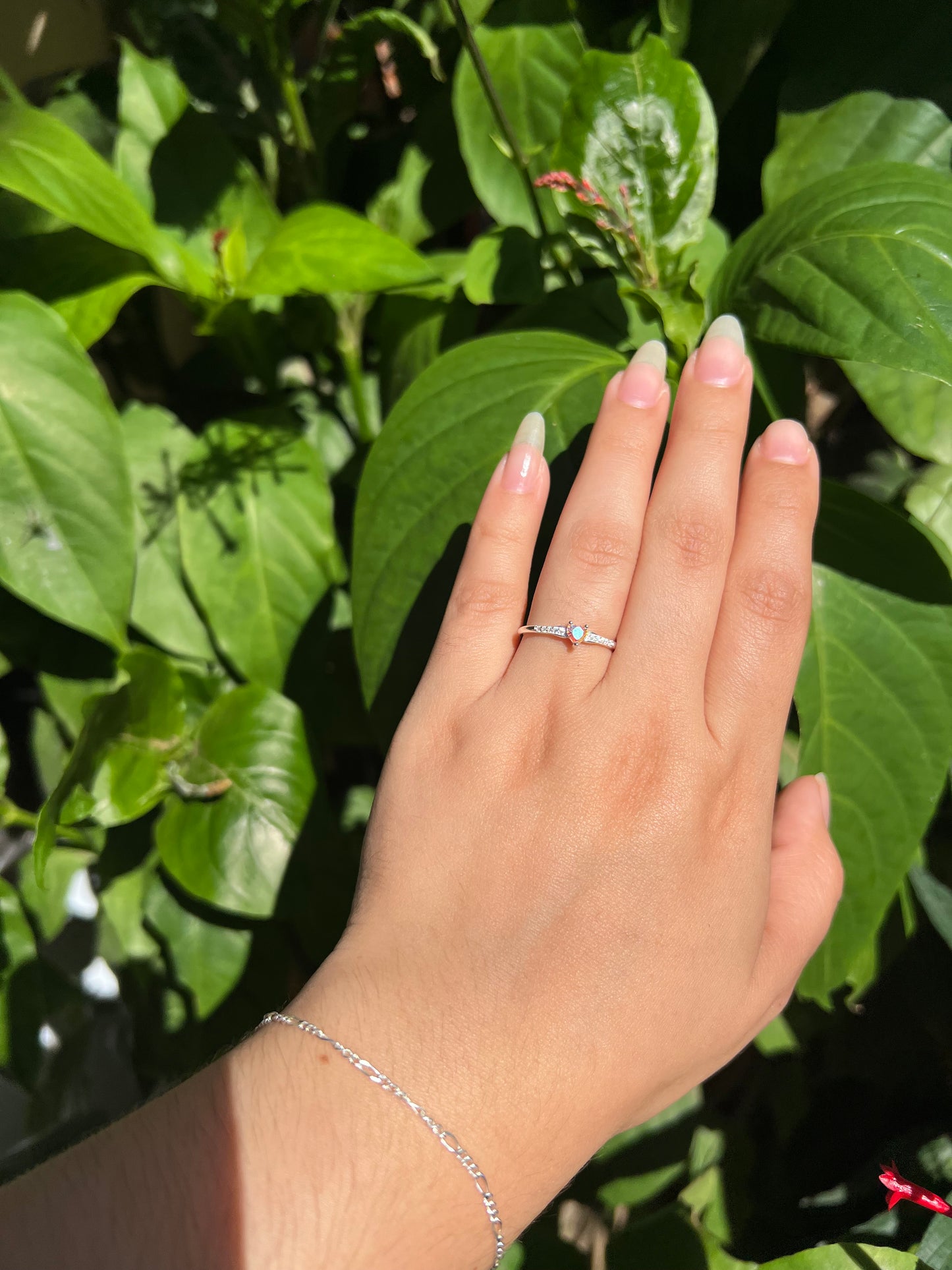 Anillos de promesa