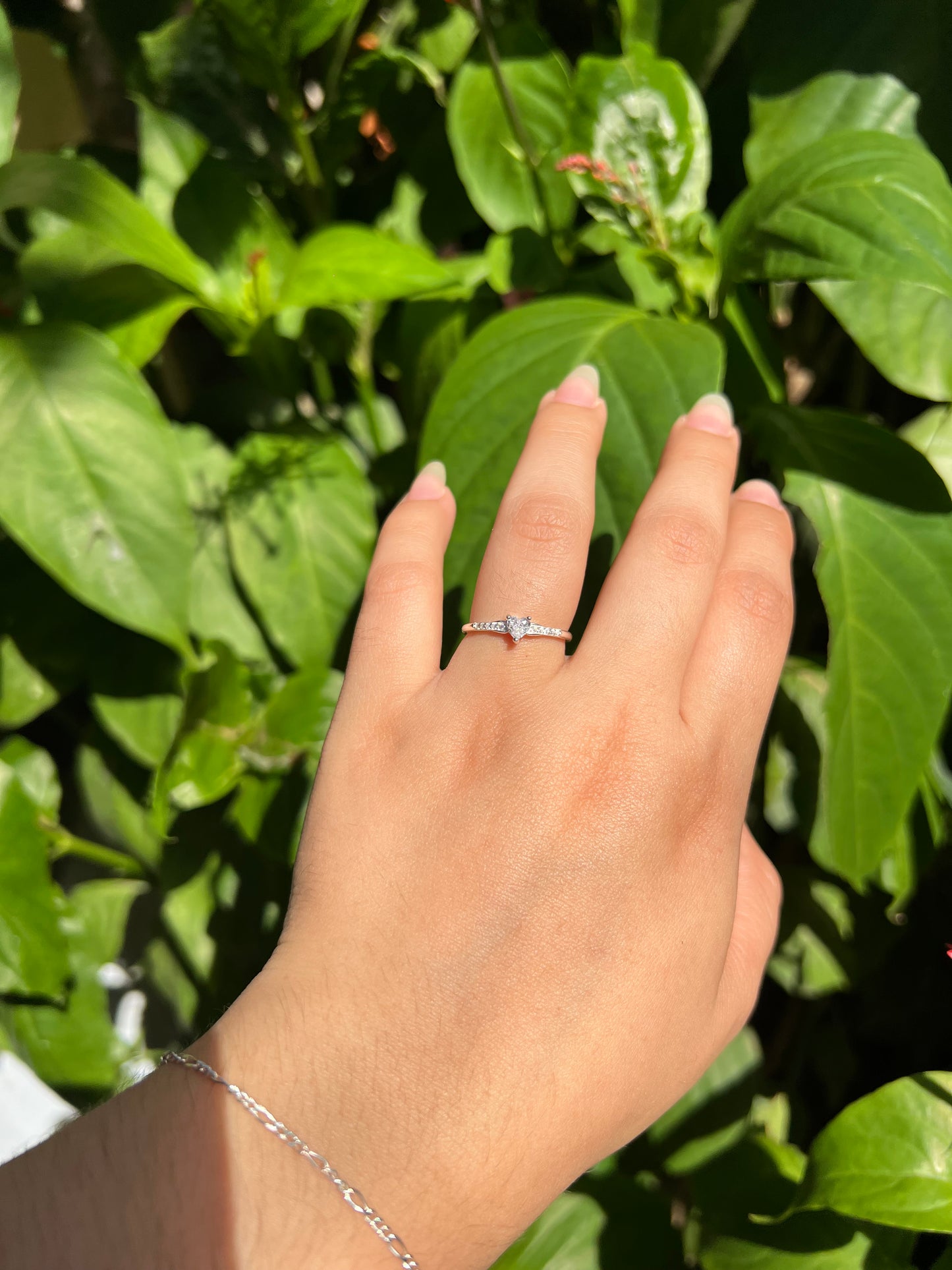 Anillos de promesa