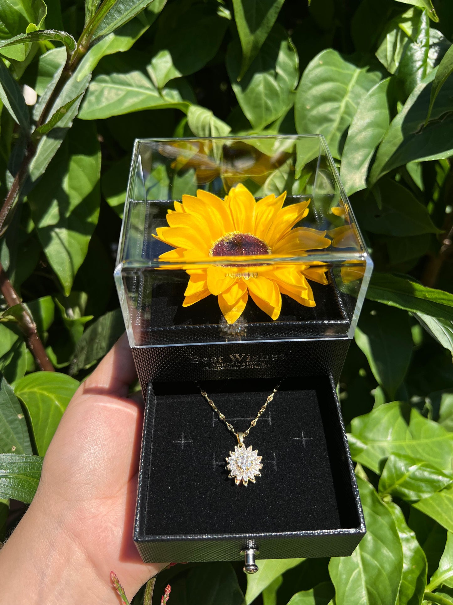 Combo girasol Eterno